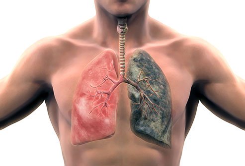The only thing known to prevent COPD is to stop smoking.
