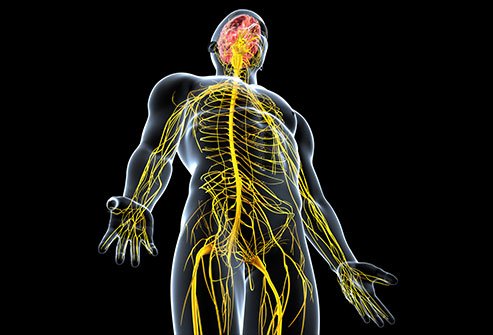 By quitting smoking, you can help prevent neural disorders.