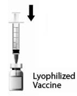 Transfer saline diluent into the lyophilized vaccine vial - Illustration