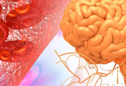 A high level of ammonia in the blood is a possible indication of metabolic encephalopathy.