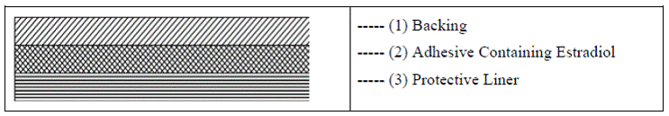 Three layers of MINIVELLE - Illustration