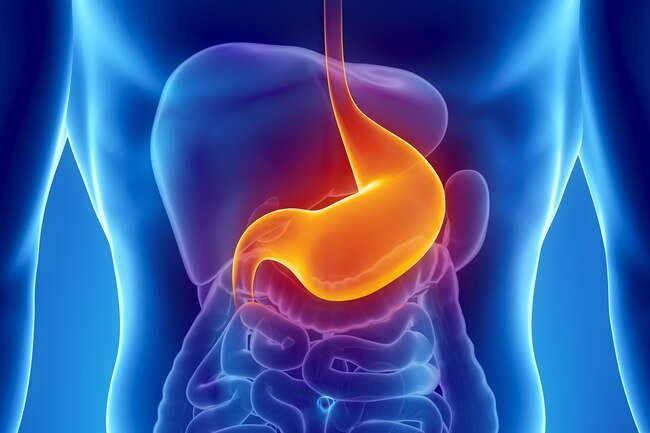 This brings on symptoms like diarrhea, vomiting, and belly pain.