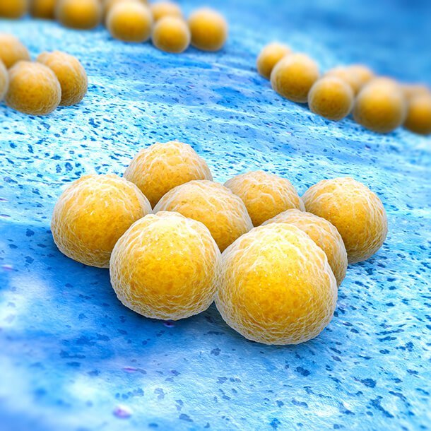 CRE Bacteria