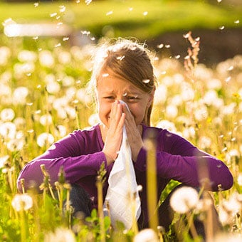 Sneezing due to seasonal allergies disperses mucus droplets into the air.