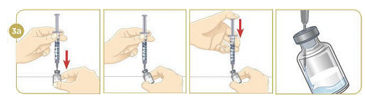Preparing MYALEPT - Illustration