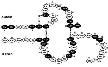 MYXREDLIN (insulin human in sodium chloride) Structural Formula Illustration