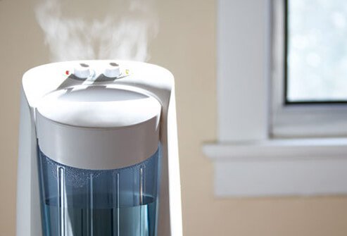 They thrive in warm, moist air, so you can fight back if you keep your indoor humidity low.