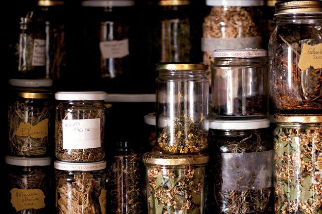 Supplementing your pet's diet with herbal medicine might treat digestive issues, kidney and bladder disease, parasites, skin problems, and bone or tissue injuries.