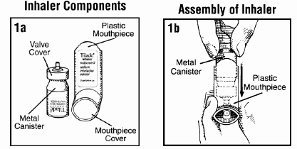 Inhaler Components and Assembly - Illustration