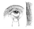 ALOCRIL®(nedocromil sodium ophthalmic solution) Figure 4  Illustration