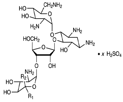 Neomycin - Structural Formula Illustration