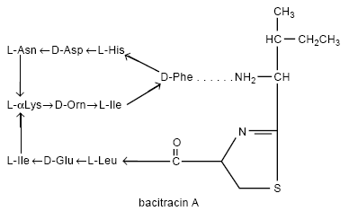 Bacitracin zinc Structural Formula Illustration