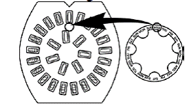 Place pill pack over the calendar - Illustration