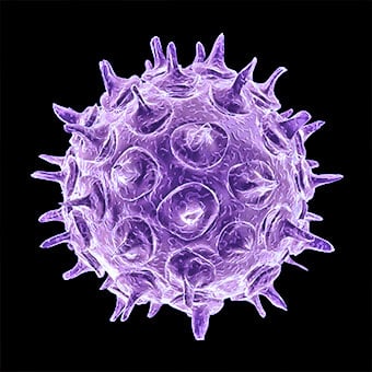 Picture of Norovirus Virus
