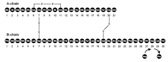 NovoLog® Mix
70/30 (70% insulin aspart protamine suspension and 30% insulin aspart)
Structural Formula Illustration