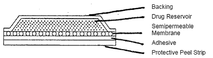 Cross section of the system - Illustration