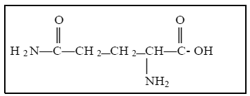 NutreStore™ (L-glutamine) Structural Formula Illustration