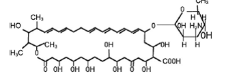 Nyamyc® (Nystatin) Structural Formula - Illustration