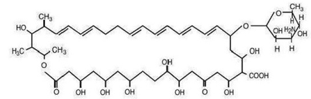Nystatin - Structural Formula Illustration