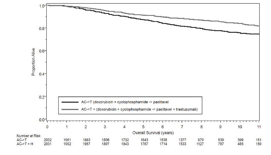 Duration of Overall Survival in Patients
with Adjuvant Treatment of Breast Cancer - Illustration