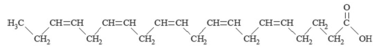 Palmitic acid C - Structural Formula - Illustration