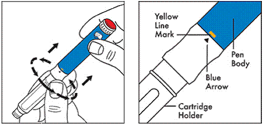 Screw the cartridge holder onto the Pen body - Illustration