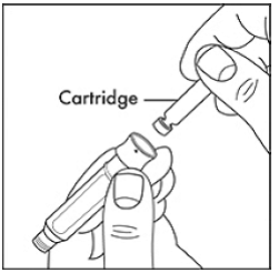 Insert the cartridge into the cartridge holder - Illustration