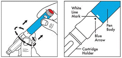 Screw the cartridge holder onto the Pen body -  Illustration