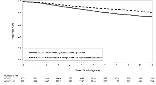 Duration of Overall Survival in Patients
with Adjuvant Treatment of Breast Cancer - Illustration
