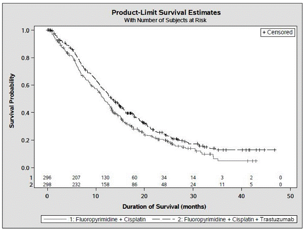 Updated Overall Survival in Patients with
Metastatic Gastric Cancer - Illustration