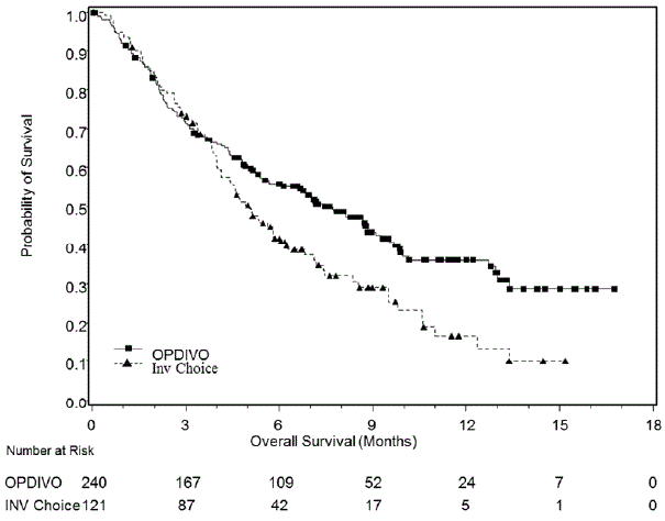 Overall Survival (Intermediate/Poor Risk
Population) - CHECKMATE-214 - Illustration