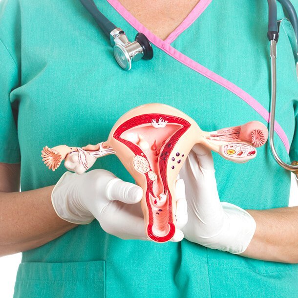 During a pelvic exam, a woman's vulva, vagina, uterus, ovaries, and fallopian tubes are inspected. It involves a visual examination, palpation, and the use of a speculum.