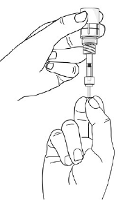 Check the pipette to make sure it
contains the eye drop solution - Illustration