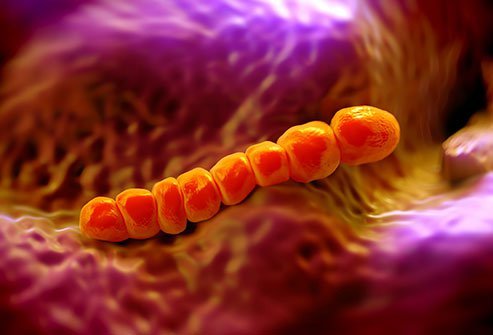 Streptococcal infections can cause PANDAS.