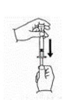 Hold the vial and syringe with one hand. Be sure the tip of the needle is in
the PegIntron solution. With the other hand, slowly pull the plunger back to
fill the syringe with the exact amount of PegIntron into the syringe your
healthcare provider told you to use - Illustration