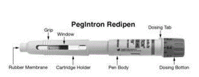 The different parts of the REDIPEN
single-use pre-filled pen and the injection needle - Illustration