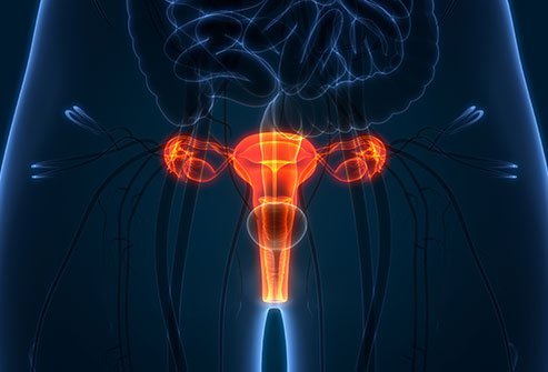 It is rare but possible to get pelvic inflammatory disease without having an STD. 
