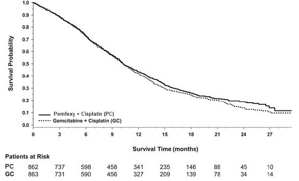  Kaplan-Meier
Curves for Overall Survival in Study JMDB - Illustration