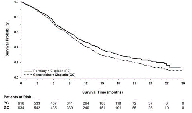 Kaplan-Meier Curves for Overall Survival in
Non-Squamous NSCLC in Study JMDB - Illustration
