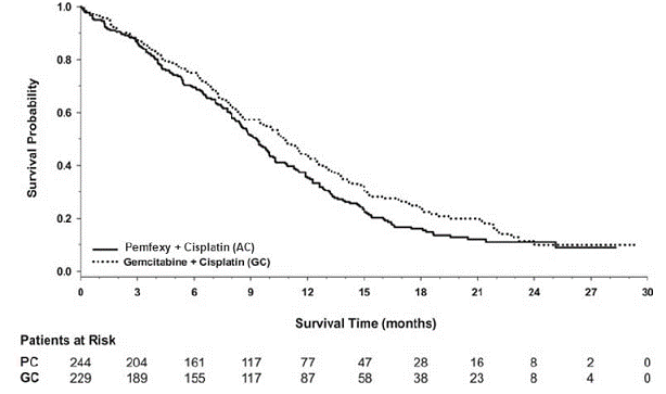  Kaplan-Meier
Curves for Overall Survival in Squamous NSCLC in Study JMDB - Illustration