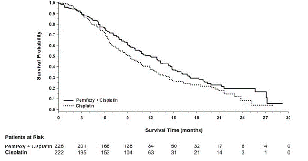 Kaplan-Meier
Curves for Overall Survival in Study JMCH - Illustration