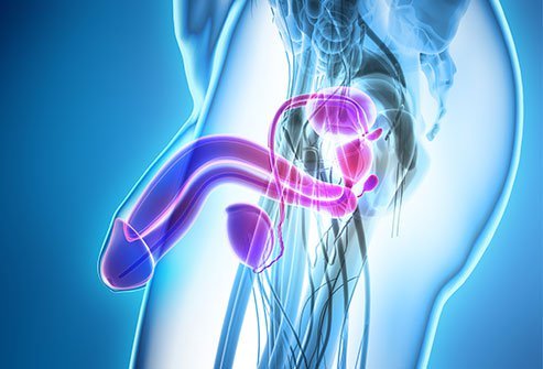 It affects the skin and tissues of the penis.