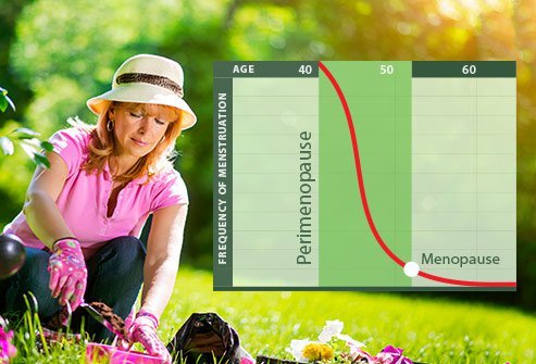 Before menopause, a woman may experience hot flashes, mood changes, irritability, and other symptoms.