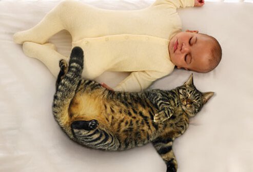 Baby sleeping with cat.