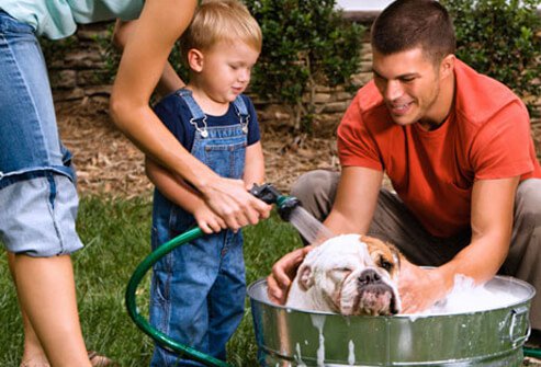 Photo of family bathing dog.