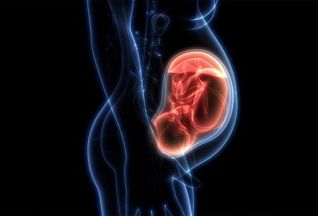 Amniotic fluid in pregnacny