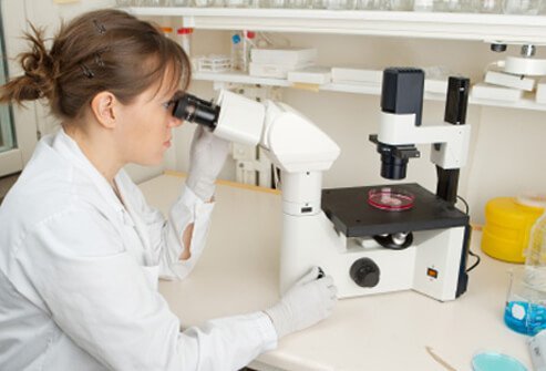 The cause of psoriasis is unknown, but several risk factors have been identified.