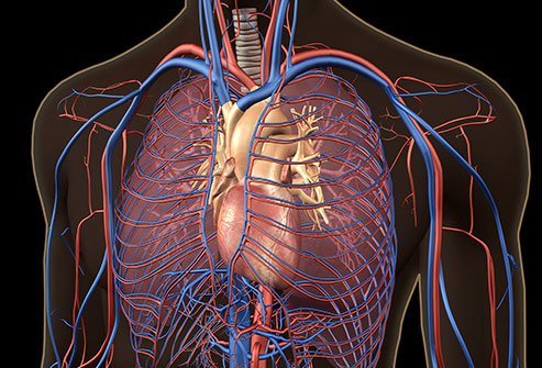 Pulmonary embolism definition, treatment, diagnosis, causes, symptoms, signs, prevention, death