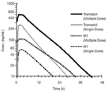  Mean Tramadol and M1 Plasma Concentration
Profiles after a Single 100 mg Oral Dose and after Twenty-Nine 100 mg Oral
Doses of Tramadol HCl given four times per day - Illustration