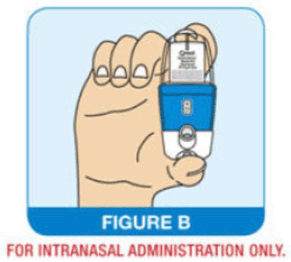 Hold the nasal actuator upright - Illustration